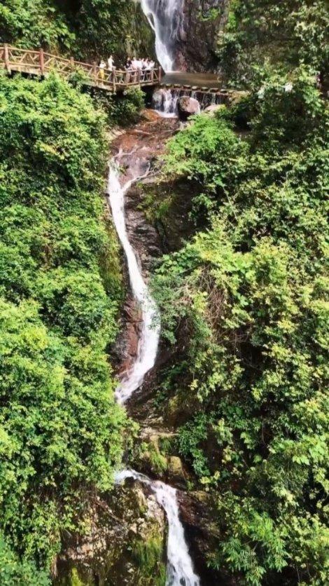 刺客信条：大革命